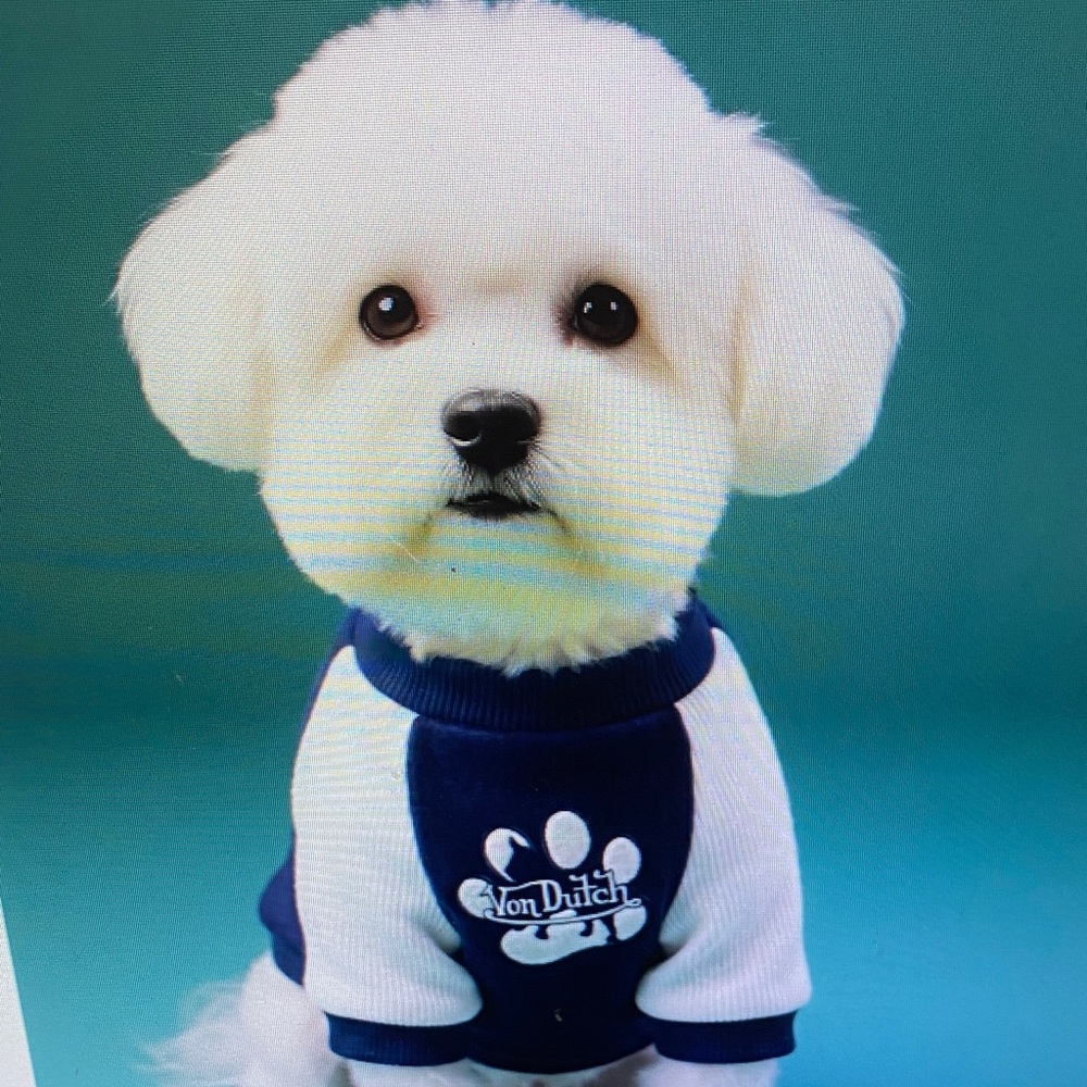 Von Dutch Blue and White Dog Sweatshirt with Paw Logo